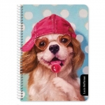 ΤΕΤΡΑΔΙΟ ΣΠΙΡΑΛ A4 2Θ 60Φ LUCIA HEFFERNAN 2 ΣΧΕΔΙΑ 470051