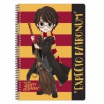 ΤΕΤΡΑΔΙΟ ΣΠΙΡΑΛ 2θεμ. GRAFFITI Harry Potter 22402 (17X25εκ)