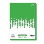 ΧΑΡΤΟΝΙΑ SKAG ZAZOO A4 160gr. 100φ. ΠΡΑΣΙΝΟ