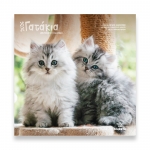 ΗΜΕΡΟΛΟΓΙΟ ΤΟΙΧΟΥ «Αγαπημένα Γατάκια» 30Χ30εκ.