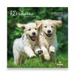 ΗΜΕΡΟΛΟΓΙΟ ΤΟΙΧΟΥ «Αγαπημένα Σκυλάκια 30Χ30εκ.