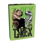 ΝΤΟΣΙΕ GRAFFITI Dinosaur 231093 (17X25) 2 ΚΡΙΚΩΝ