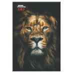 ΤΕΤΡΑΔΙΟ ΚΑΡΦΙΤΣΑ NO FEAR 17X25 AFRICA LION 348-00400