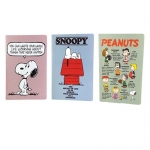 Σημειωματάρια A5 Peanuts friends 365-04003 Ριγέ (3τμχ)