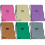 ΤΕΤΡΑΔΙΟ ΣΠΙΡΑΛ 5ΘΕΜ. A4 SKAG BASIC (276139)