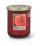 ΑΡΩΜΑΤΙΚΟ ΚΕΡΙ ΜΕΓΑΛΟ ΓΛΥΚΙΑ ΝΤΑΛΙΑ (HEART & HOME)