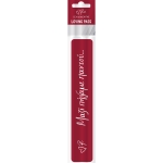 Σελιδοδείκτης μεγάλος - Ρενέ Travel - Loving Pass / Μαζί πήγαμε παντού (ΧΑΡΤΙΝΗ ΠΟΛΗ)