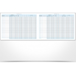 ΒΙΒΛΙΟ ΕΣΟΔΩΝ-ΕΞΟΔΩΝ 100Φ. 127Γ (30Χ43εκ.)