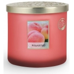 ΑΡΩΜΑΤΙΚΟ ΚΕΡΙ ΔΙΠΛΟ ΦΥΤΙΛΙ ΡΟΔΑΚΙΝΟ (HEART & HOME)