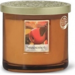 ΑΡΩΜΑΤΙΚΟ ΚΕΡΙ ΔΙΠΛΟ ΦΥΤΙΛΙ ΜΗΛΟΚΗΠΟΣ  (HEART & HOME)