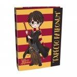 ΝΤΟΣΙΕ GRAFFITI Harry Potter Hermione 22409 (17X25) 2 ΚΡΙΚΩΝ
