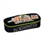 ΚΑΣΕΤΙΝΑ ΤΕΤΡΑΓΩΝΗ HOGWARTS 224344