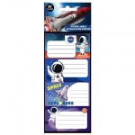 ΕΤΙΚΕΤΕΣ ΑΥΤΟΚ NASA 20ΤΕΜ 5 ΦΥΛΛΑ 483042