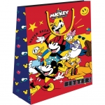 ΣΑΚΟΥΛΑ ΔΩΡΟΥ DISNEY 565804 Πολύχρωμη 23x11x18εκ.