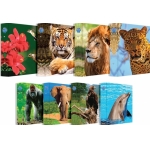 ΝΤΟΣΙΕ SKAG AR ΑΓΡΙΑ ΖΩΑ A4