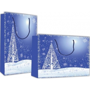 ΧΡΙΣΤΟΥΓΕΝΝΙΑΤΙΚΗ ΧΑΡΤΙΝΗ ΤΣΑΝΤΑ NEXT Χριστουγεννιάτικο τοπίο Υ24Χ23Χ10 (27389)