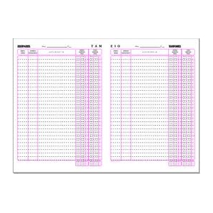 ΒΙΒΛΙΟ ΤΑΜΕΙΟΥ 522 A4 100Φ.