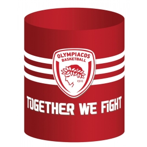 ΜΟΛΥΒΟΘΗΚΗ ΟΛΥΜΠΙΑΚΟΣ ΜΠΑΣΚΕΤ