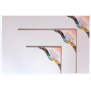 ΚΑΡΤΟΛΙΝΟ ΖΩΓΡΑΦΙΚΗΣ TALENS 25X35EK.