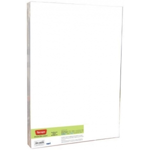 Synaps συνθετικό χαρτί 09095 αδιάβροχο 33x48,8εκ., 300γρ. 20φυλ.