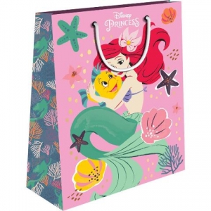 ΣΑΚΟΥΛΑ ΔΩΡΟΥ ΧΑΡΤΙΝΗ 26X12X32 PRINCESS 2 ΣΧΕΔΙΑ 564054