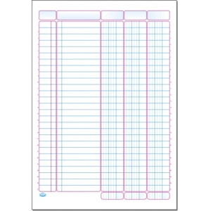 Φυλλάδα Λογιστική 3στηλη 25Χ35 200φ (513Α)