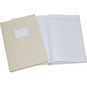 ΦΥΛΛΑΔΑ ΡΙΓΕ NTELON 0102 20X30 100Φ.