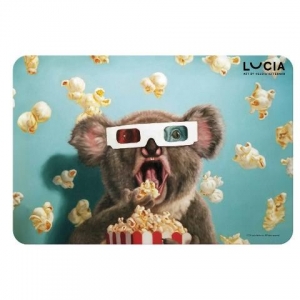 ΣΟΥΠΛΑ 43X29ΕΚ LUCIA KOALA 470151