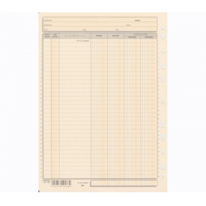 ΚΑΡΤΕΛΕΣ ΛΟΓΙΣΤΙΚΗΣ 4 ΣΤΗΛΕΣ Α4