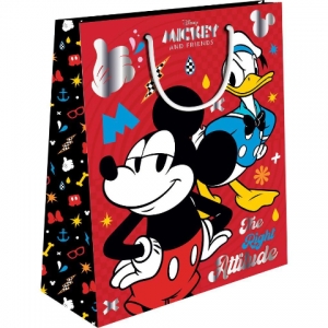 ΣΑΚΟΥΛΑ ΔΩΡΟΥ ΧΑΡΤΙΝΗ 18x11x23ΕΚ MICKEY MINNIE 564044