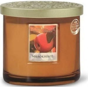 ΑΡΩΜΑΤΙΚΟ ΚΕΡΙ ΔΙΠΛΟ ΦΥΤΙΛΙ ΜΗΛΟΚΗΠΟΣ  (HEART & HOME)