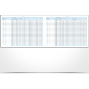 ΒΙΒΛΙΟ ΕΣΟΔΩΝ-ΕΞΟΔΩΝ 100Φ. 127Γ (30Χ43εκ.)
