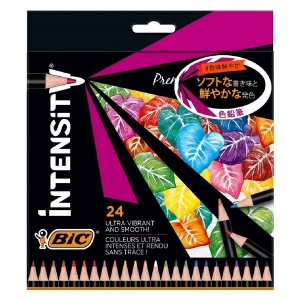 Μαγικοί Μαρκαδόροι Bic Intensity (12 Χρώματα)
