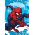 ΚΑΡΤΑ ΧΡΙΣΤΟΥΓΕΝΝΩΝ SPIDERMAN 500860